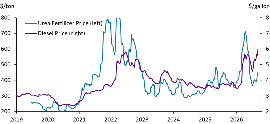 A time series showing weekly urea fertilizer prices and diesel prices from 2019 to 2026.