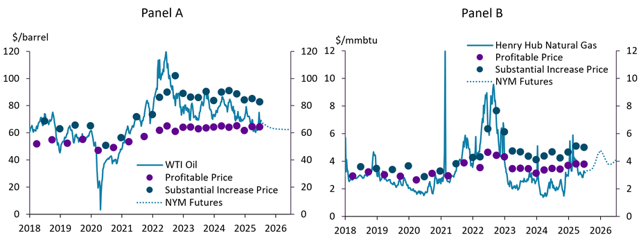 Panel A of Chart 2 shows WTI oil prices from 2018 to 2025 compared to their profitable and substantial increase prices and their futures curve. Panel B shows the same for Henry Hub natural gas prices.