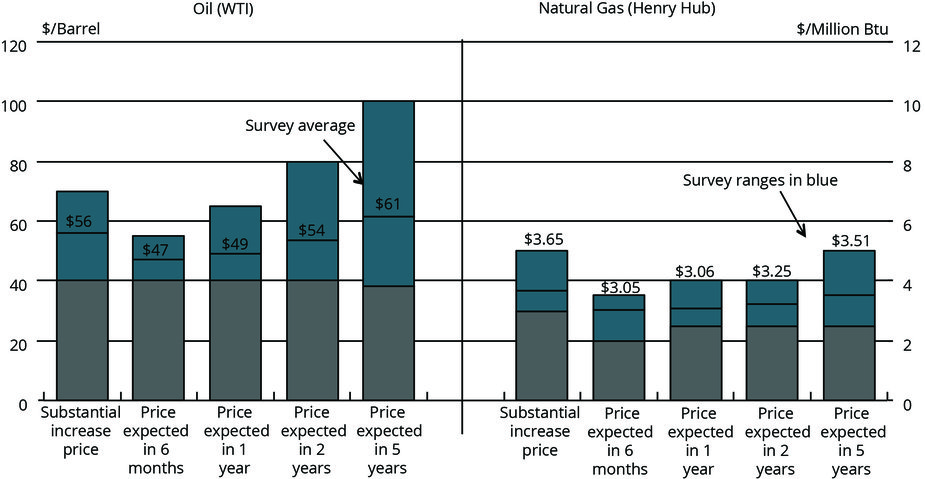 Chart 2. Special Question - What price is currently needed for a substantial increase in drilling to occur for oil and natural gas, and what do you expect the WTI and Henry Hub prices to be in six months, one year, two years, and five years?
