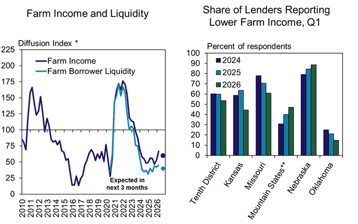 Two graphs: Left shows Farm Income and Borrower Liquidity dropping from 2021–2024, with slight rise expected by 2026. Right shows increased lenders reporting lower farm income in 2024 across states in the 10th District.