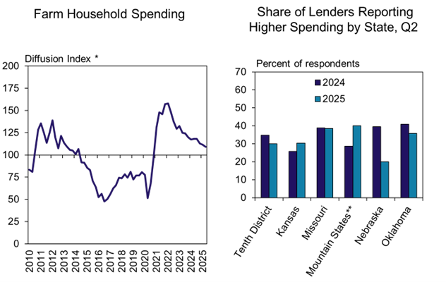 Chart 5: Tenth District Farm Borrower Household Spending Two charts: the left line chart shows the diffusion index of farm borrower household spending over several quarters, and the right chart compares the diffusion index across different states. These charts depict changes in household spending among farm borrowers.