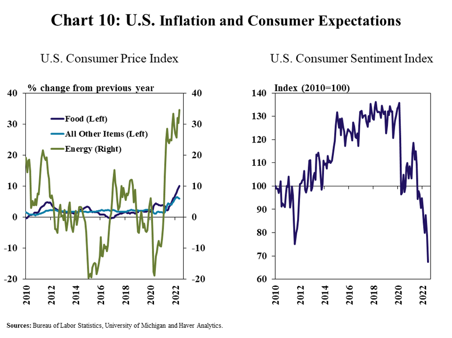 Chart 10: U.S. Inflation and Consumer Expectations– includes two individual panels. Left, U.S. Consumer Price Index - is a line graph showing the percent change in Food, Energy and All Other items from the U.S. consumer price index in every month from January 2010 to May 2022. Right, U.S. Consumer Sentiment Index- is a line graph showing the index of consumer sentiment in every month from January 2010 to May 2022. Sources: Bureau of Labor Statistics, University of Michigan and Haver Analytics.