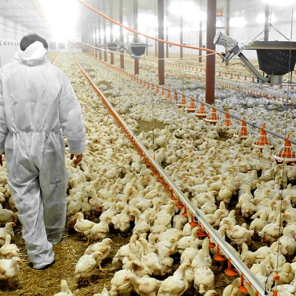 Ag_Symposium_Card_1000x700_1