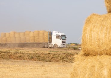 A flat bed semi truck transporting round bales of hay or straw in a field with other round bales.
