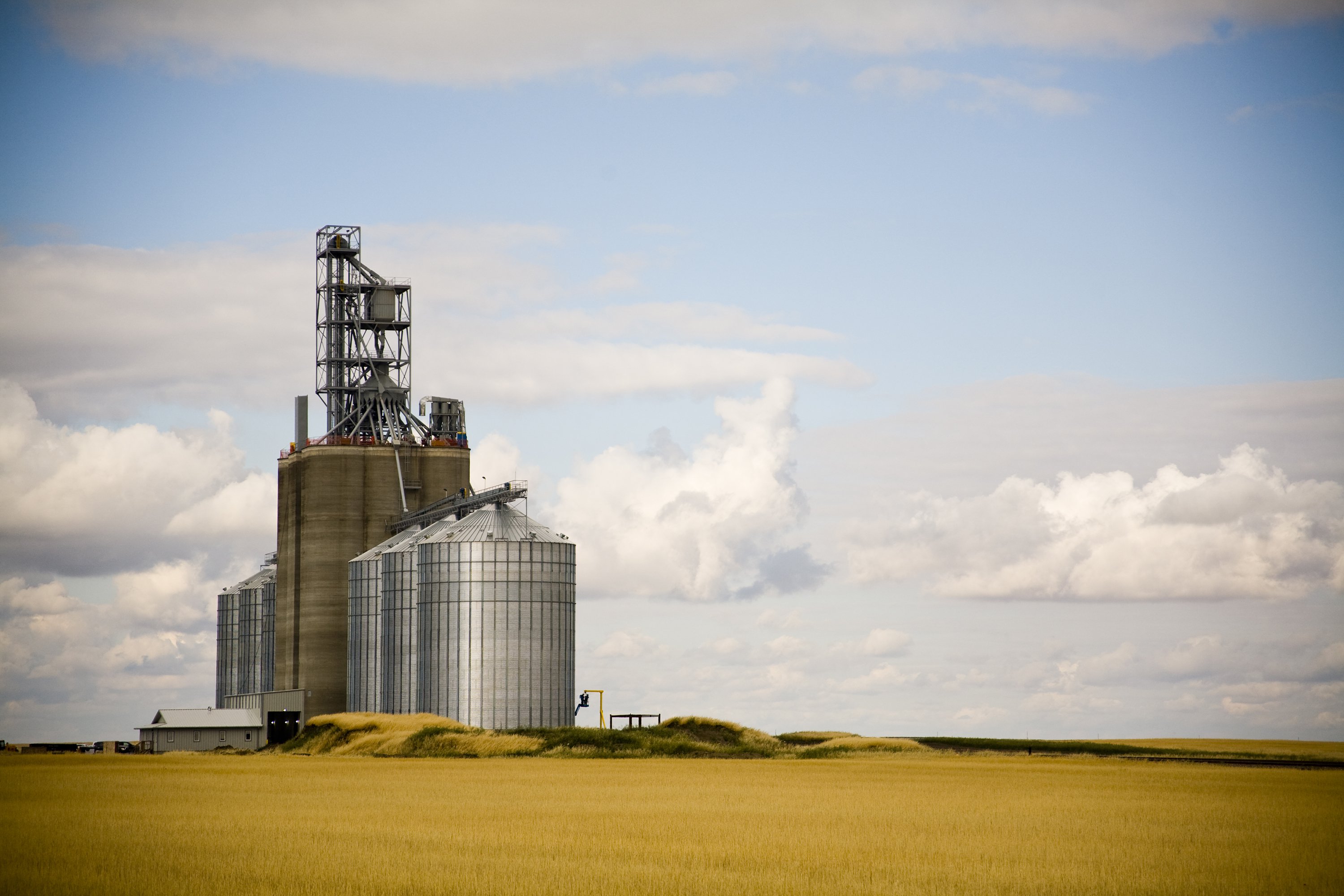 Farmland Values Remain Resilient Federal Reserve Bank of Kansas City