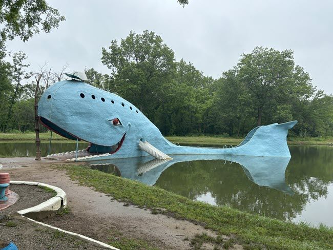 A grinning blue concrete whale, 20 feet tall and 80 feet long, rests in a pond on a cloudy day in Catoosa, Oklahoma.