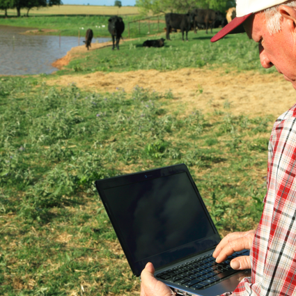 Cattle Farmer computer HERO.png