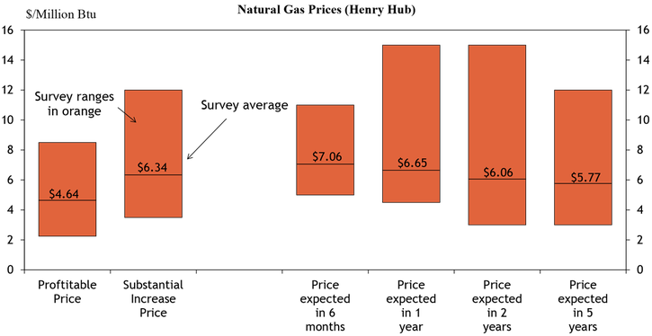 Firms were also asked what prices were needed for a substantial increase in drilling to occur across the fields in which they are active. The average oil price needed was $98 per barrel and the average natural gas price needed was $6.34 per million Btu.