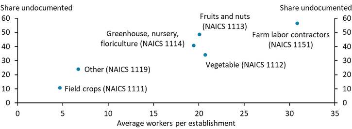 Chart 1 shows that greenhouse growers, vegetable growers, and producers of fruits and nuts require significantly more workers than producers of field crops such as corn, soybeans, and wheat. Specialty crop growers also use a higher share of undocumented workers. Undocumented workers account for 30 to nearly 50 percent of workers in greenhouse, vegetable, and fruit and nut operations compared with just 10 percent of workers in field crop operations. Farm labor contractors, which are used more frequently by specialty crop growers, have the highest share of undocumented workers.