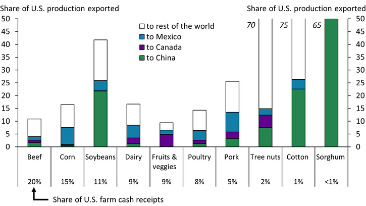 Chart 2 shows that 20 percent of U.S. soybean production, 55 percent of sorghum production, 20 percent of cotton production, and 8 percent of U.S. tree nut production is exported to China. In addition, 5–7 percent of U.S. corn, dairy, poultry, and pork production is exported to Mexico, and about 5 percent of U.S. fruit, vegetable, and tree nut production is exported to Canada. These commodities account for a large share of U.S. farm cash receipts.
