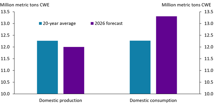 Chart 2 is a bar chart displaying domestic production and domestic consumption measured in million metric tons CWE (carcass weight equivalent). For domestic production, the 20-year average is approximately 12.2 million metric tons, while the 2026 forecast is slightly lower at about 12.0 million metric tons. For domestic consumption, the 20-year average is approximately 12.2 million metric tons, while the 2026 forecast shows a significant increase to approximately 13.3 million metric tons.