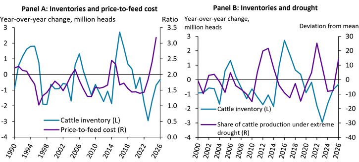 Chart 3 is a time series with two panels. Panel A shows the year-over-year change in cattle inventory in million heads and the price-to-feed cost ratio from 1990 to 2026. Price-to-feed cost ratio ranges from 0.0 to 3.3 with peaks in 1990, 2000, 2005, and 2014. Inventory changes fluctuate between approximately negative 3 and 3 million heads with peaks running approximately one period behind the price-to-feed ratio. Panel B displays year-over-year change in cattle inventory and share of cattle production under extreme drought as deviation from mean from 2000 to 2026. Drought conditions show several peaks, particularly around 2014 and 2022, often displaying an inverse relationship with cattle inventory.