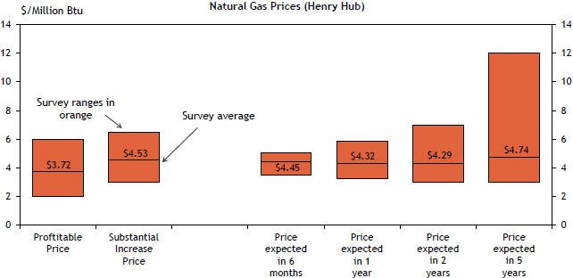 Firms were also asked what prices were needed for a substantial increase in drilling to occur across the fields in which they are active. The average oil price needed was $86 per barrel and the average natural gas price needed was $4.53 per million Btu.