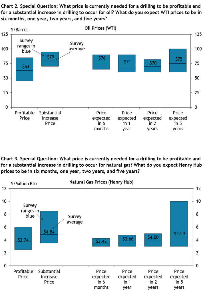 Firms were asked what oil prices were needed on average for drilling to be profitable and for a substantial increase to occur across the fields in which they are active, as well as their price expectations in six months, 1 year, 2 years, and 5 years. Chart 2 shows the average oil prices and ranges that firms reported. Firms were asked what natural gas prices were needed on average for drilling to be profitable and for a substantial increase to occur across the fields in which they are active, as well as their price expectations in six months, 1 year, 2 years, and 5 years. Chart 3 shows the average natural gas prices and ranges that firms reported.