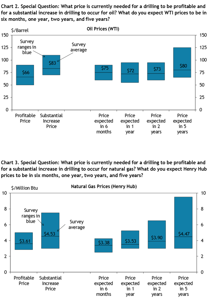 Firms were asked what oil prices were needed on average for drilling to be profitable and for a substantial increase to occur across the fields in which they are active, as well as their price expectations in six months, 1 year, 2 years, and 5 years. Chart 2 shows the average oil prices and ranges that firms reported.

Firms were asked what natural gas prices were needed on average for drilling to be profitable and for a substantial increase to occur across the fields in which they are active, as well as their price expectations in six months, 1 year, 2 years, and 5 years. Chart 3 shows the average natural gas prices and ranges that firms reported.