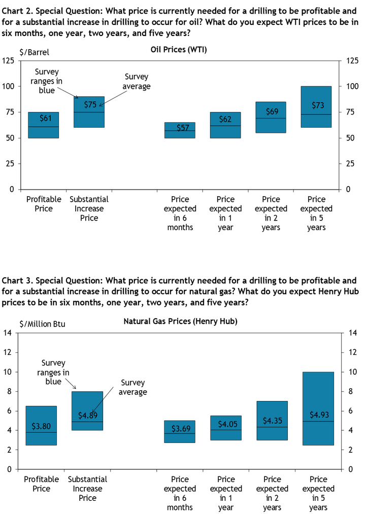 Firms were asked what oil prices were needed on average for drilling to be profitable and for a substantial increase to occur across the fields in which they are active, as well as their price expectations in six months, 1 year, 2 years, and 5 years. Chart 2 shows the average oil prices and ranges that firms reported. Firms were asked what natural gas prices were needed on average for drilling to be profitable and for a substantial increase to occur across the fields in which they are active, as well as their price expectations in six months, 1 year, 2 years, and 5 years. Chart 3 shows the average natural gas prices and ranges that firms reported.
