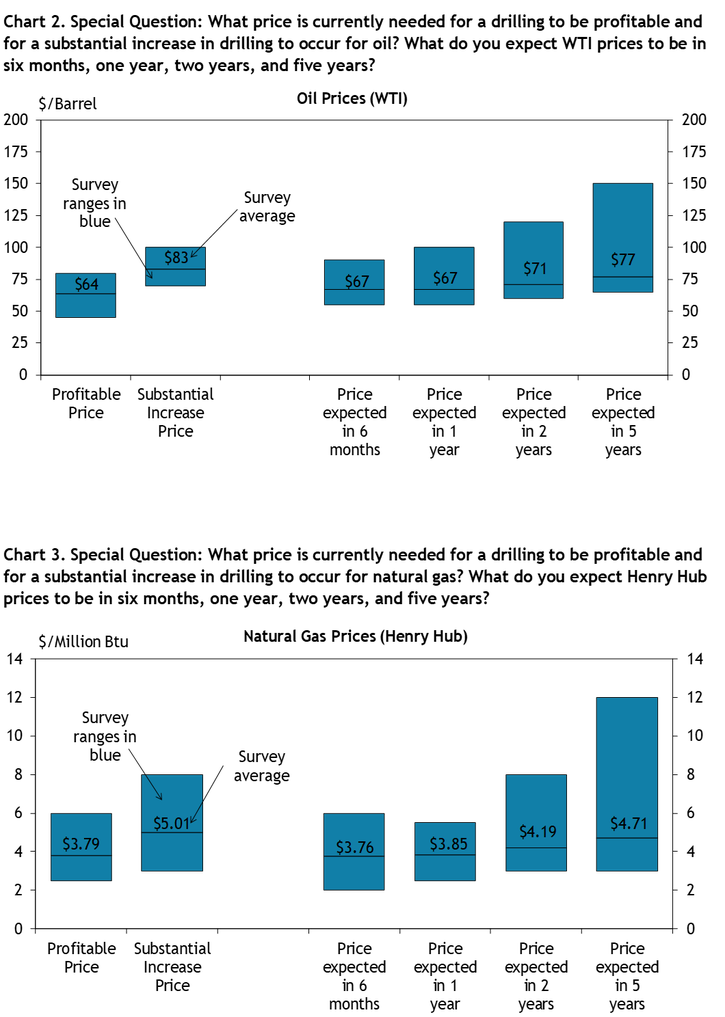 Firms were asked what oil prices were needed on average for drilling to be profitable and for a substantial increase to occur across the fields in which they are active, as well as their price expectations in six months, 1 year, 2 years, and 5 years. Chart 2 shows the average oil prices and ranges that firms reported. Firms were asked what natural gas prices were needed on average for drilling to be profitable and for a substantial increase to occur across the fields in which they are active, as well as their price expectations in six months, 1 year, 2 years, and 5 years. Chart 3 shows the average natural gas prices and ranges that firms reported.