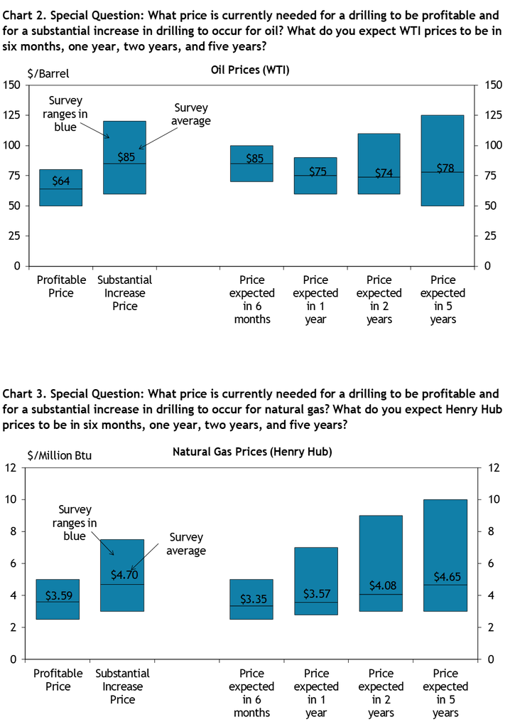Firms were asked what oil prices were needed on average for drilling to be profitable and for a substantial increase to occur across the fields in which they are active, as well as their price expectations in six months, 1 year, 2 years, and 5 years. Chart 2 shows the average oil prices and ranges that firms reported.

Firms were asked what natural gas prices were needed on average for drilling to be profitable and for a substantial increase to occur across the fields in which they are active, as well as their price expectations in six months, 1 year, 2 years, and 5 years. Chart 3 shows the average natural gas prices and ranges that firms reported.