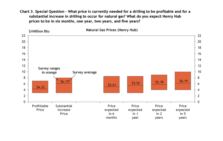 Firms were also asked what prices were needed for a substantial increase in drilling to occur across the fields in which they are active. The average oil price needed was $89 per barrel, and the average natural gas price needed was $6.13 per million Btu.