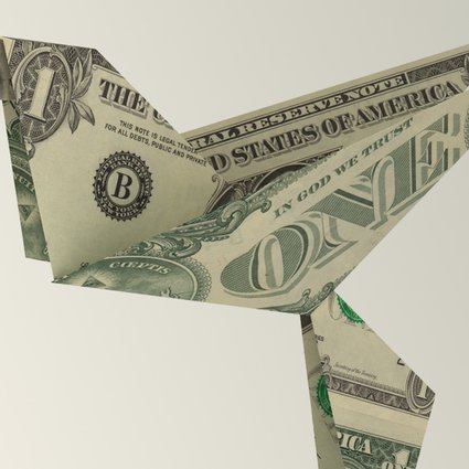 Dollar Bird - Hero Image