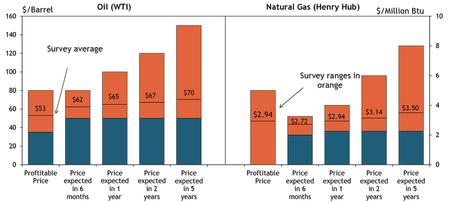 Firms were asked what oil and natural gas prices were needed for drilling to remain profitable on average across the fields in which they are active. The average oil price needed was $53 per barrel, with a range of $35 to $80. The average natural gas price needed was $2.94 per million Btu, with responses ranging from $0 to $5.00.