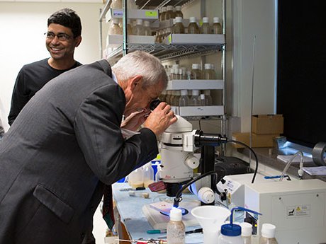 Stowers Institute for Medical Research Tour