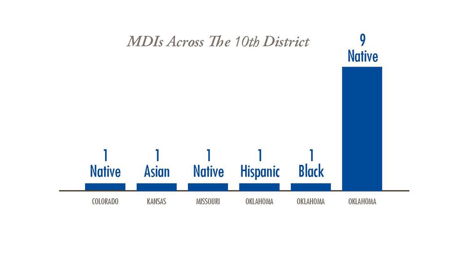 Image Description. A chart shows the number of MDIs per state in the 10th District and the minority group represented.