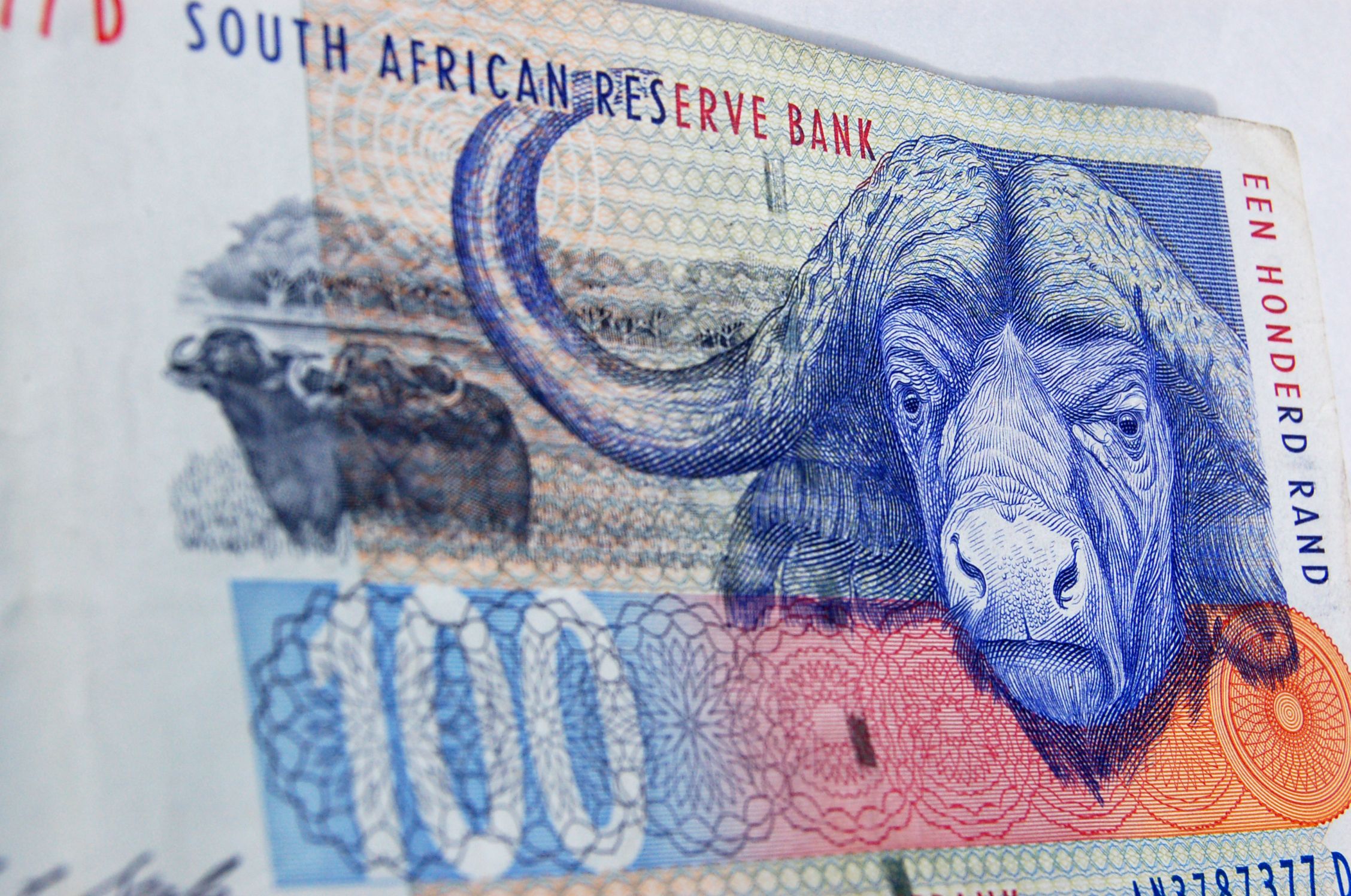 Money Museum - Adventure Capital - South Africa