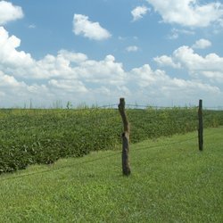 OMA_Ag_Stock_8_Hero_2021.jpg
