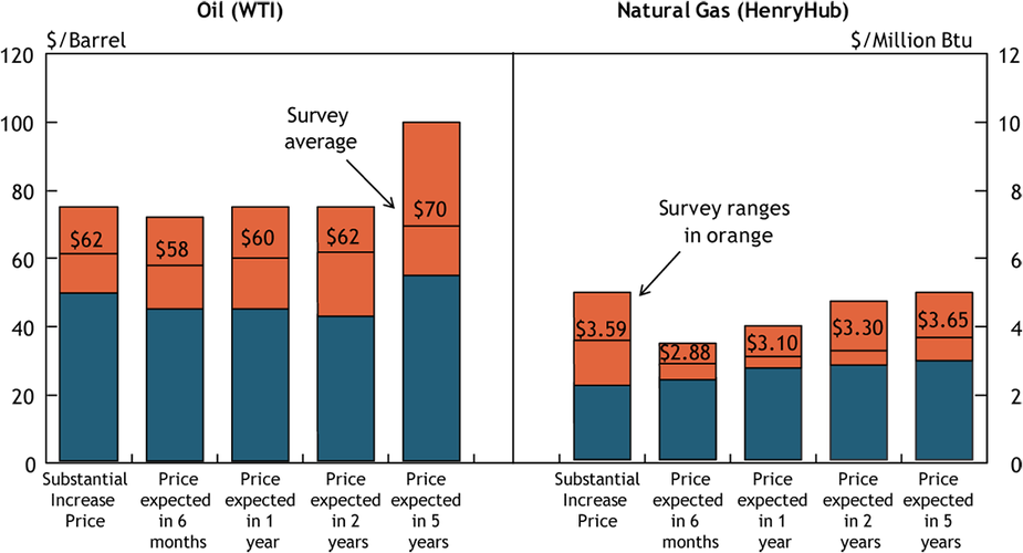 Chart 2. Special Question - What price is currently needed for a substantial increase in drilling to occur for oil and natural gas, and what do you expect the WTI and Henry Hub prices to be in six months, one year, two years, and five years?