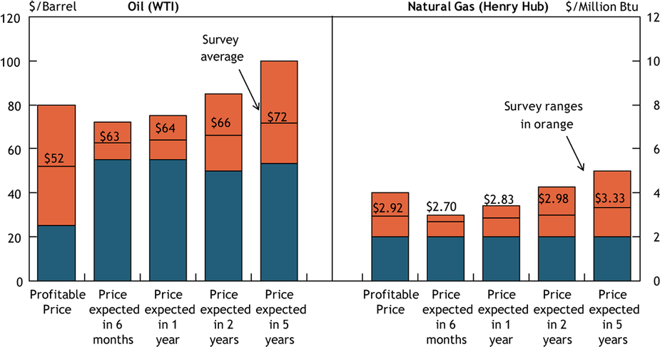 Chart 2. Special Question - What price is currently needed for drilling to be profitable for oil and natural gas, and what do you expect the WTI and Henry Hub prices to be in six months, one year, two years, and five years?