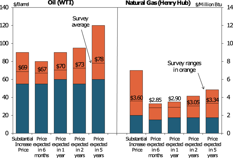 Chart 2. Special Question - What price is currently needed for a substantial increase in drilling to occur for oil and natural gas, and what do you expect the WTI and Henry Hub prices to be in six months, one year, two years, and five years?