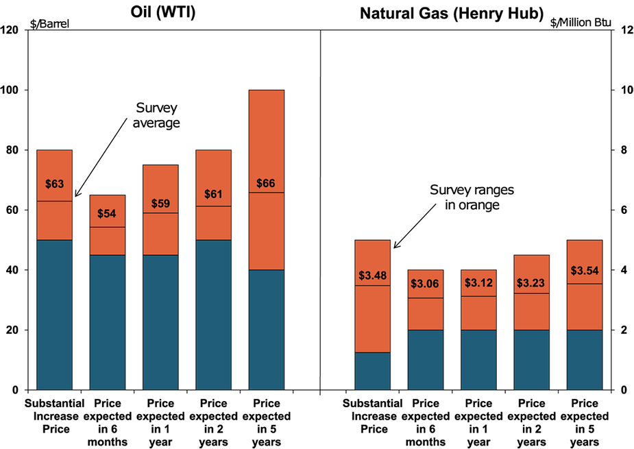 Chart 2. Special Question - What price is currently needed for a substantial increase in drilling to occur for oil and natural gas, and what do you expect the WTI and Henry Hub prices to be in six months, one year, two years, and five years?