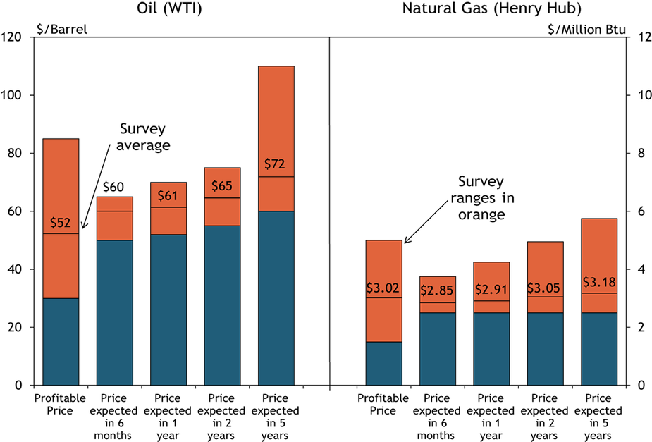 Chart 2. Special Question - What price is currently needed for drilling to be profitable for oil and natural gas, and what do you expect the WTI and Henry Hub prices to be in six months, one year, two years, and five years?