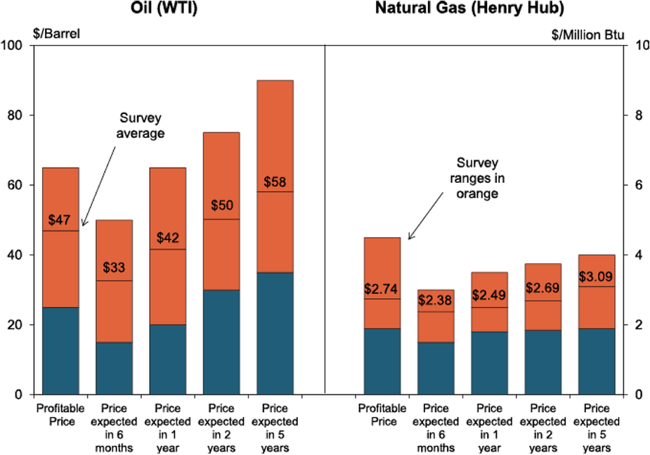 Chart 2. Special Question - What price is currently needed for drilling to be profitable for oil and natural gas, and what do you expect the WTI and Henry Hub prices to be in six months, one year, two years, and five years?