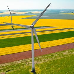 Ag-and-energy-Ten-Summer