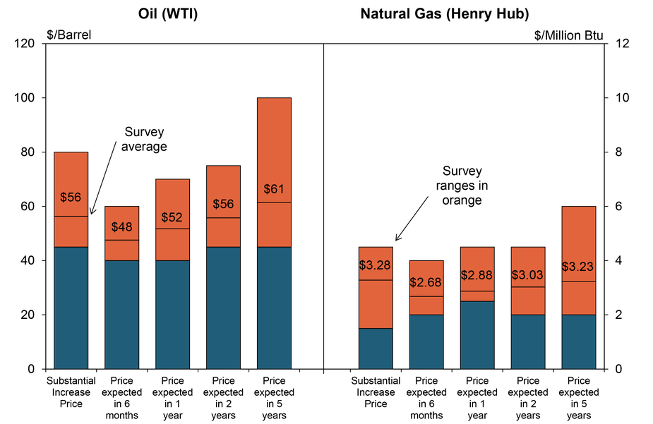 Chart 2. Special Question - What price is currently needed to substantially increase drilling for oil and natural gas, and what do you expect the WTI and Henry Hub prices to be in six months, one year, two years, and five years?