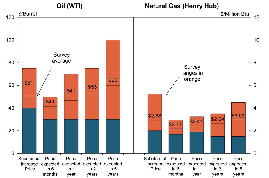 Chart 2. Special Question - What price is currently needed to substantially increase drilling for oil and natural gas, and what do you expect the WTI and Henry Hub prices to be in six months, one year, two years, and five years?