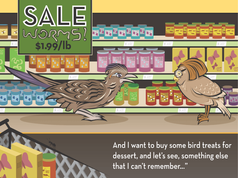 And I want to buy some bird treats for dessert, and let’s see, something else that I can’t remember…”