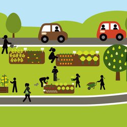 publicationscc2018Q1HealthyCommunities1520